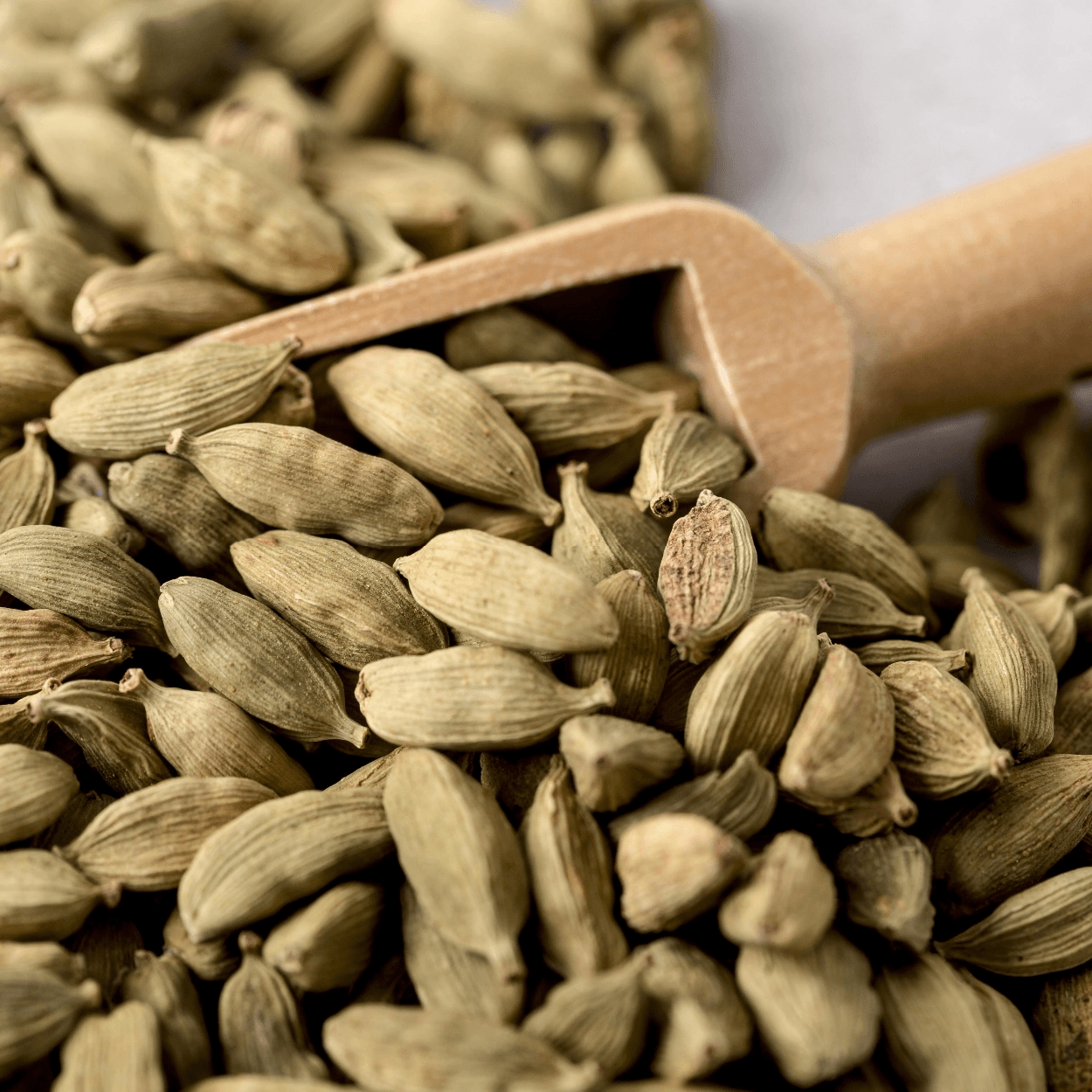 Cardamom EO SP