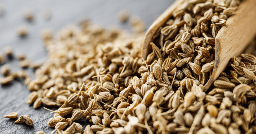 Aniseed