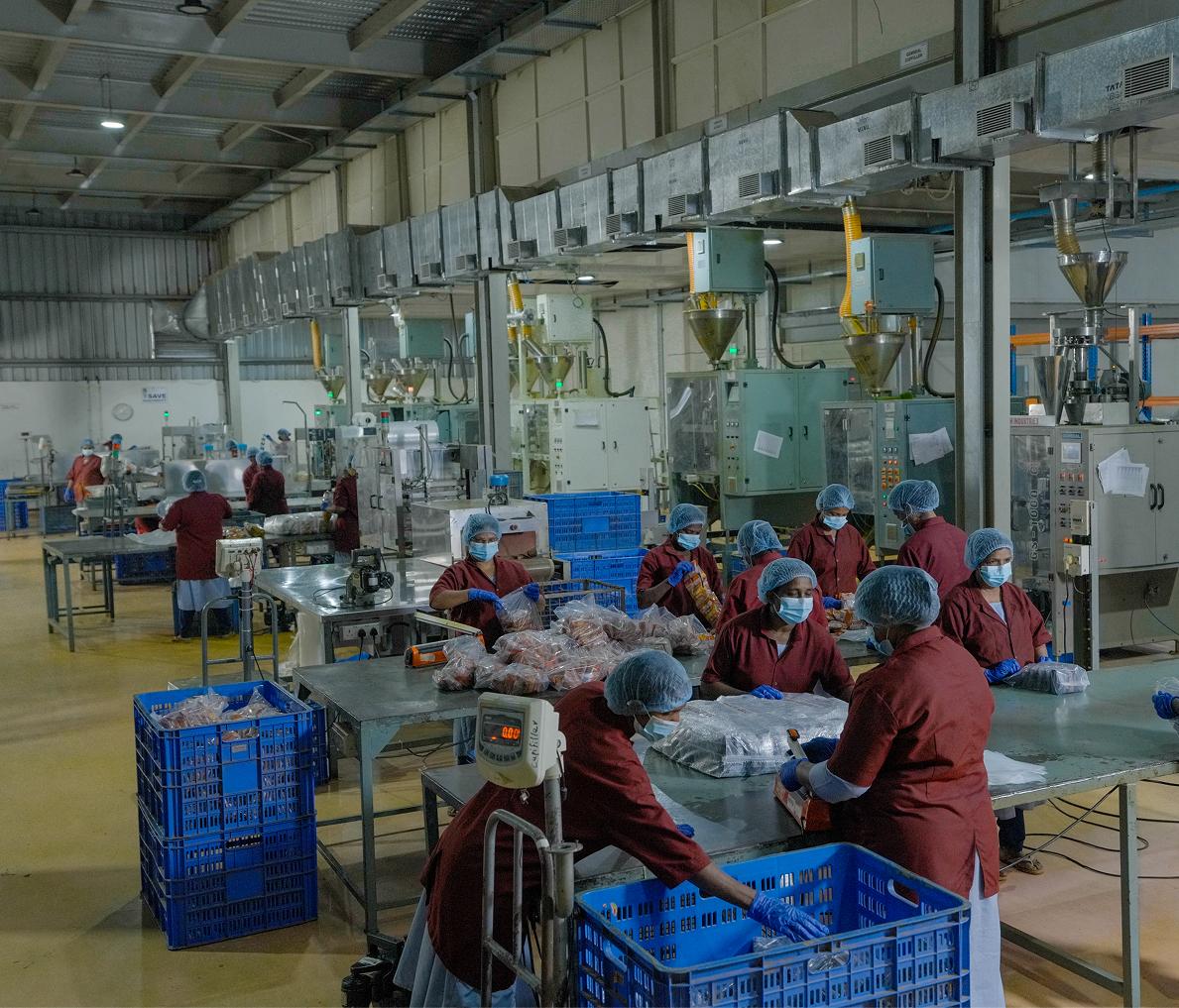 Seed Spices Processing