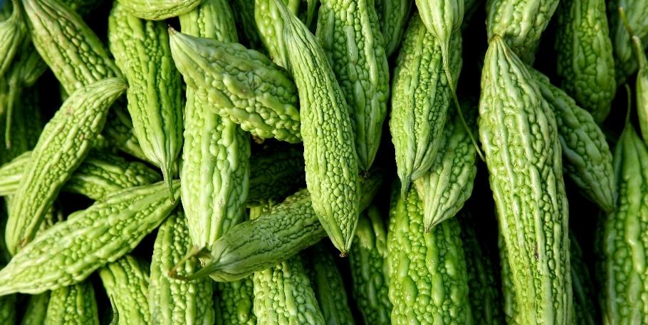 Bitter Gourd