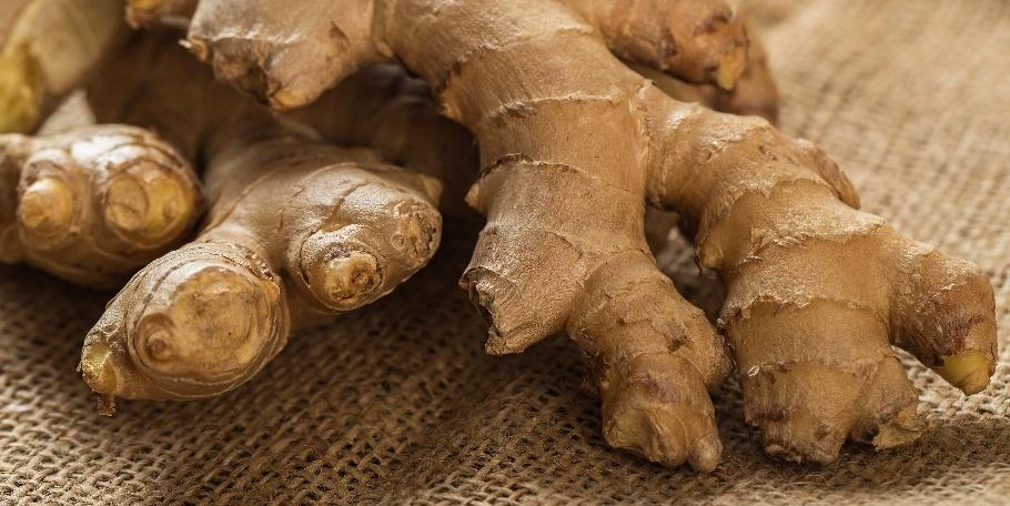 Ginger