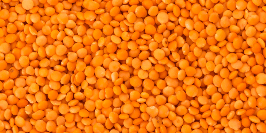 Lentil Protein (Macrotyloma uniflorum)