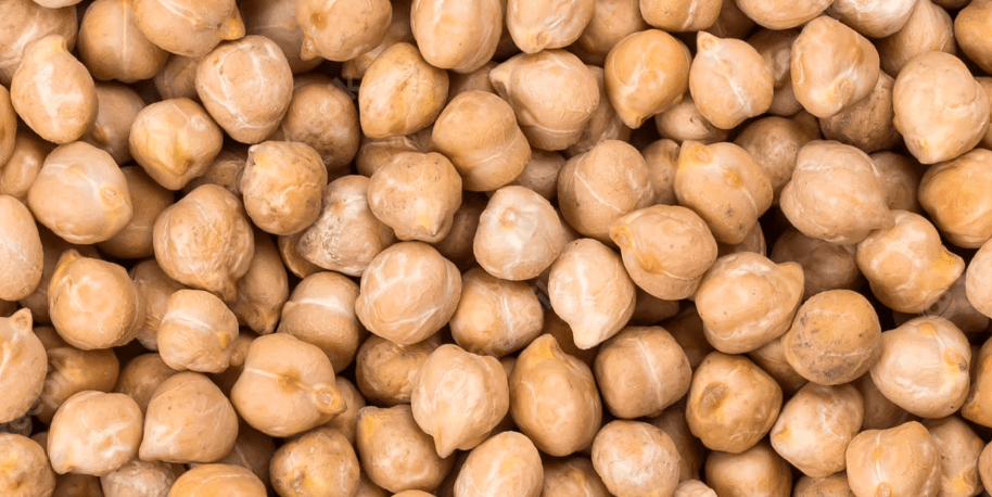 Chickpea Protein (Cicer arietinum)