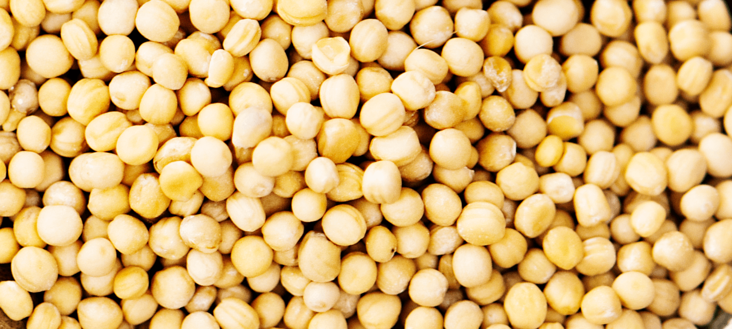 Yellow Pea Protein (Pistum sativum)