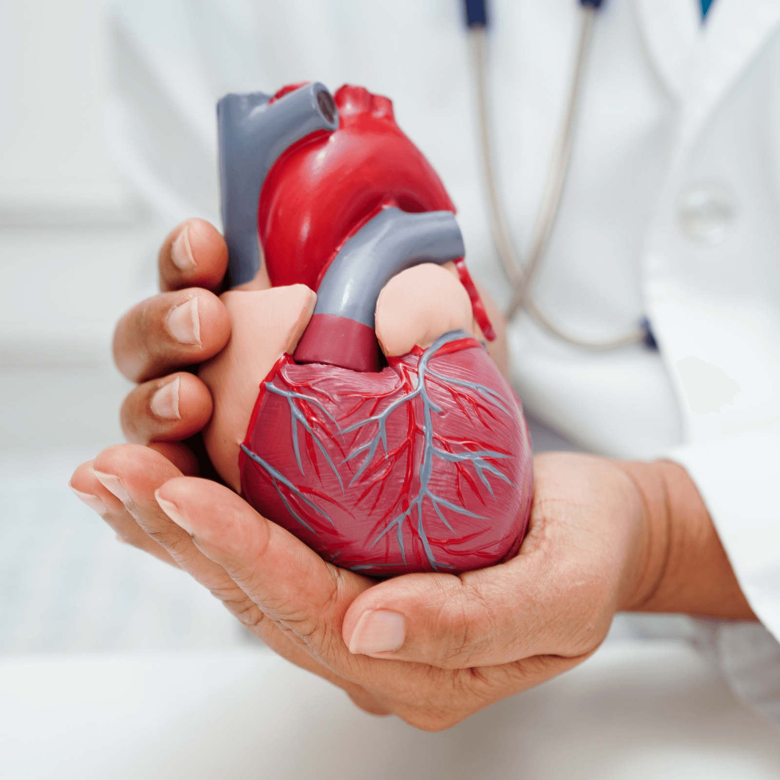Cardiovascular Support