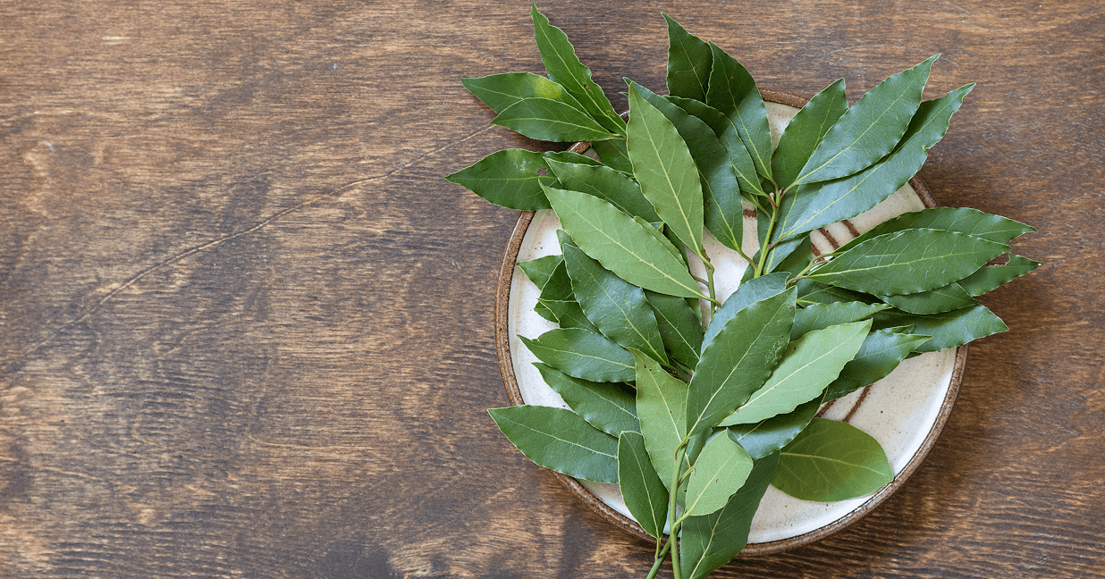 Curry leaves extracts