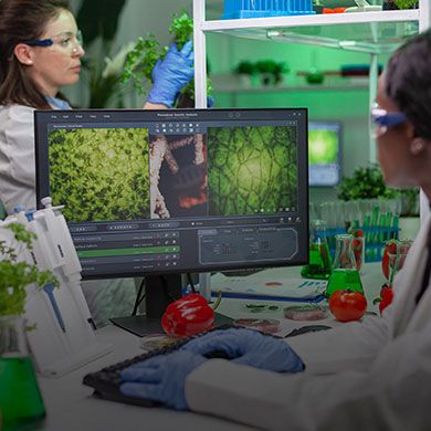 Two researchers analyzing plant structures on a monitor in a high-tech agricultural or botany laboratory.