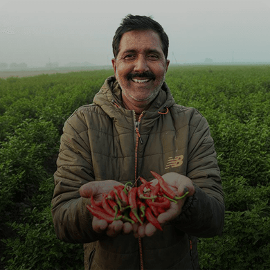 Mobile-optimized environmental stewardship banner displaying green forest and sustainability theme designed for smaller screens.