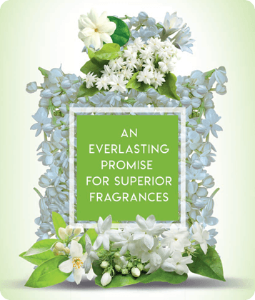 Floral ingredient extracts and application.