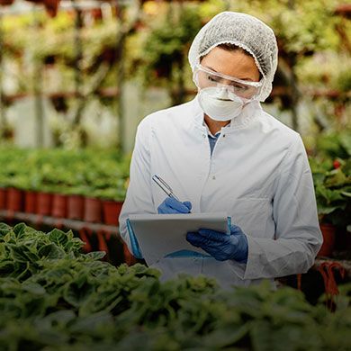 Agricultural scientist in a mask and safety goggles writing notes on a tablet in a greenhouse.