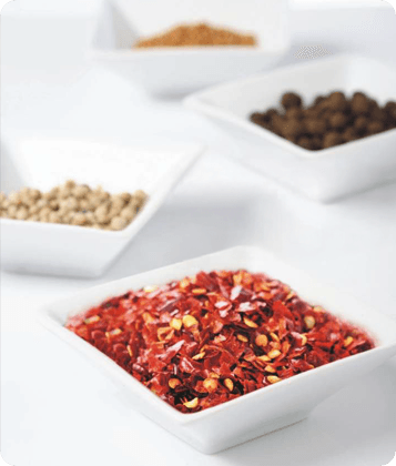 Visual showing "The Ingredients of Excellence" concept with natural elements.