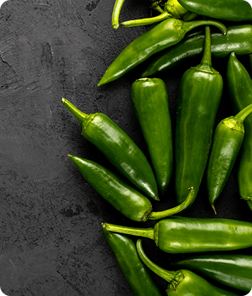 Fresh red chili pepper, spice ingredient.