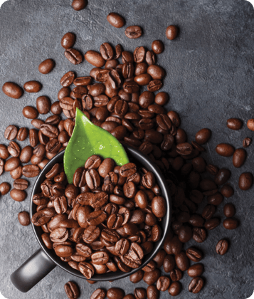 Coffee extract ingredient in liquid form.