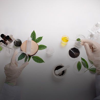 Overhead view of gloved hands performing natural product research with leaves, oils, and lab glassware.